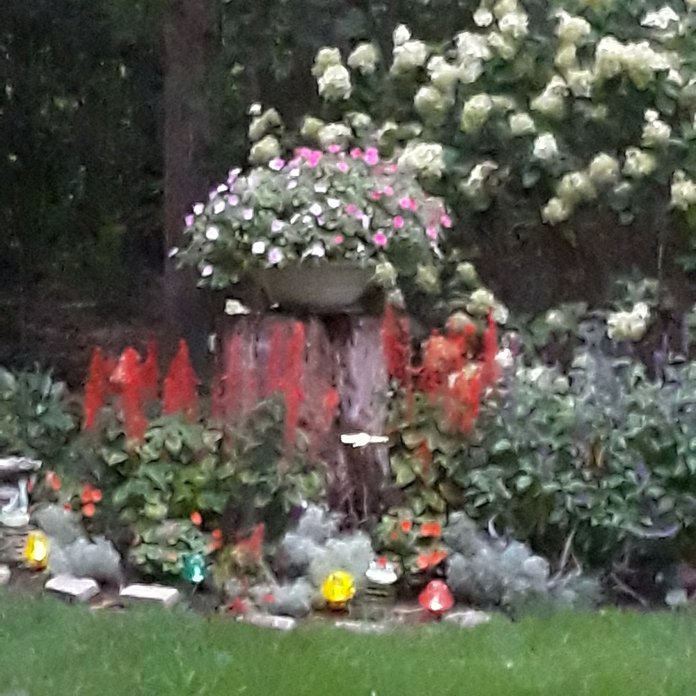 Meet your Posher, Carolyn